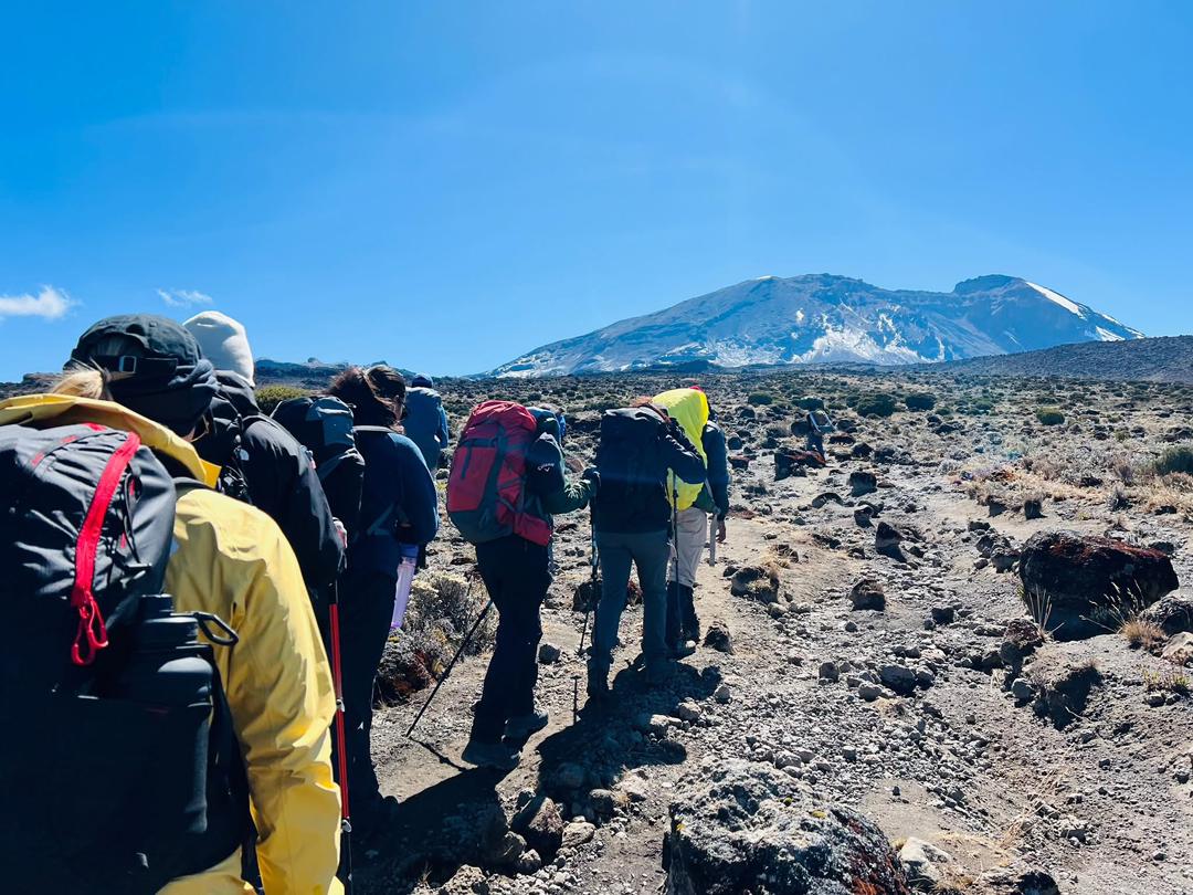 8-Day Premium Lemosho Route – Mount Kilimanjaro Luxury Climb