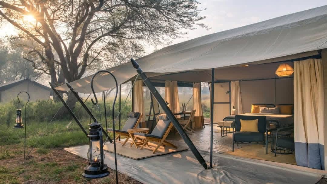 Tanzania Prestige Safari 4 Days of Luxury, Wildlife and Unforgettable Memories