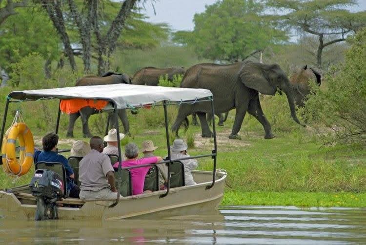 4 DAY PRIVATE TOUR TO NYERERE NATIONAL PARK